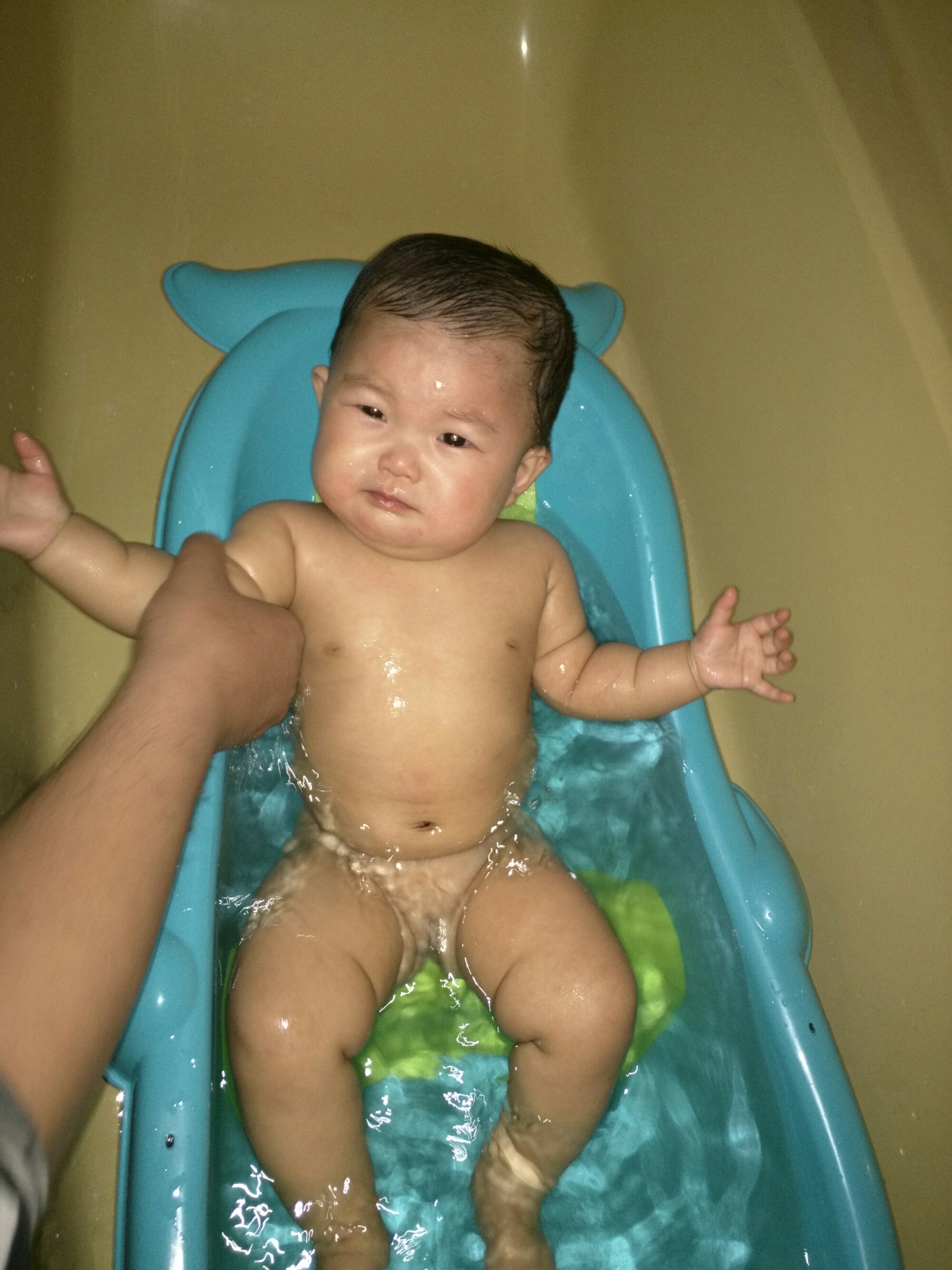 wp-1458191531219 image