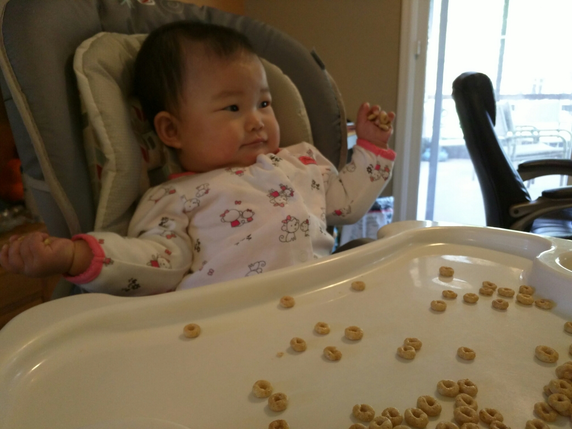 wp-1459830482257 image