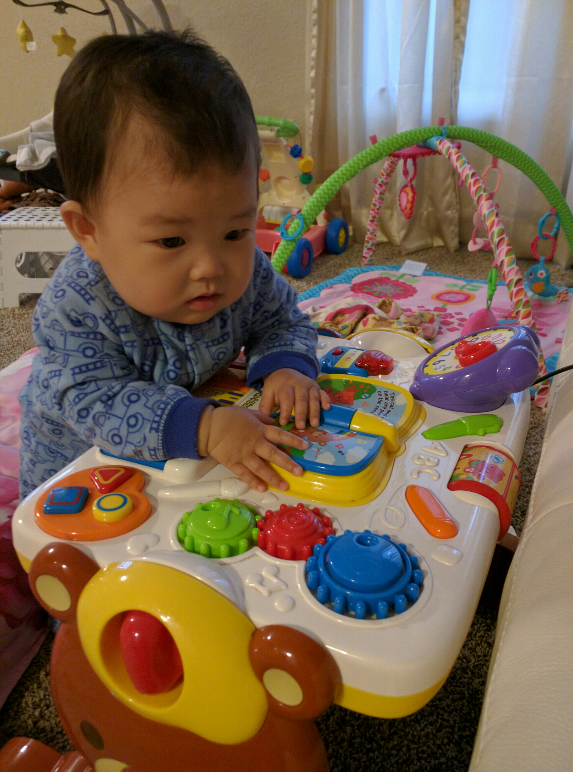 wp-1462127370032 image