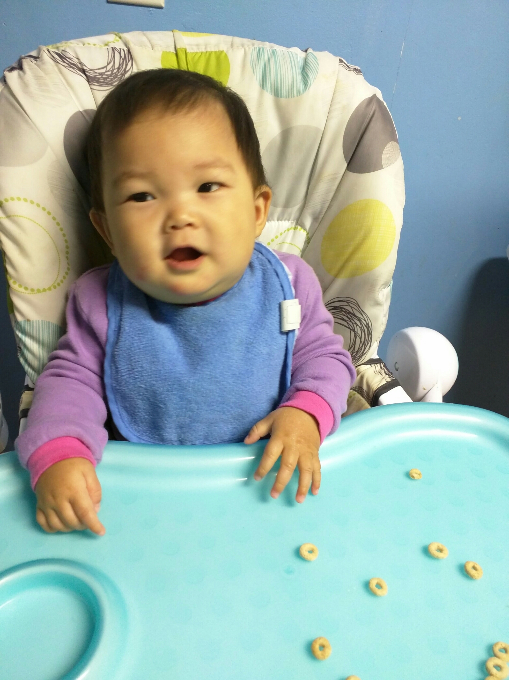 wp-1462127575772 image