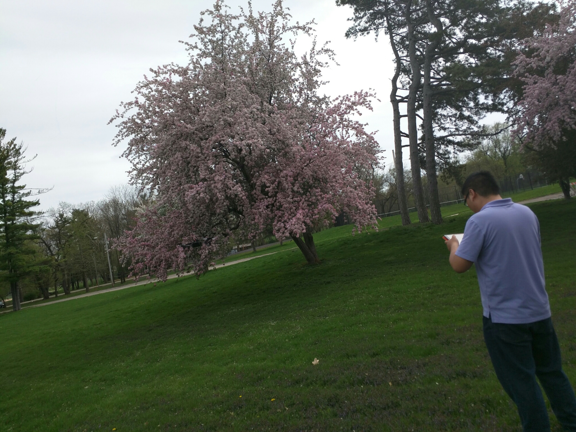 wp-1462128016310 image