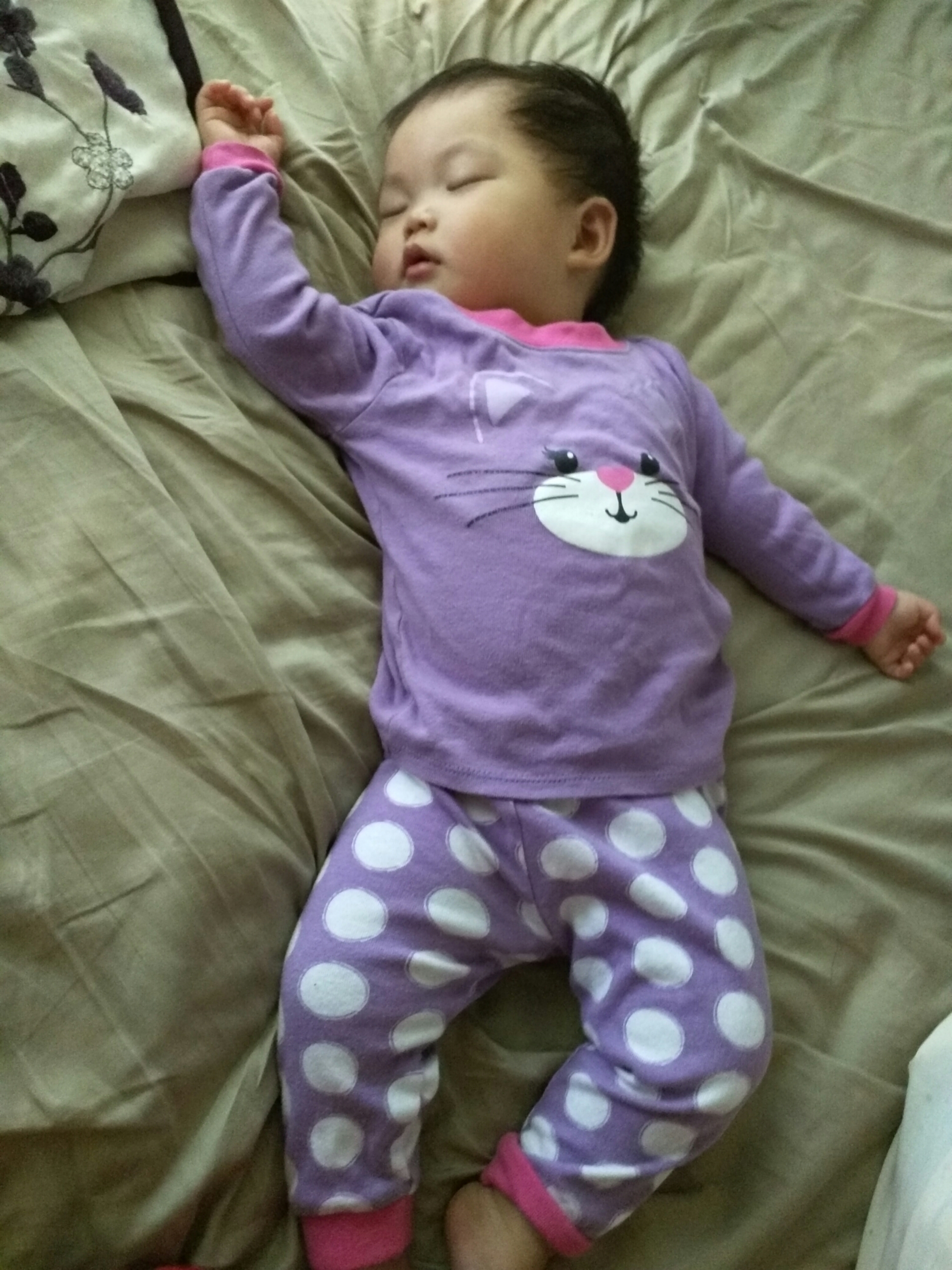 wp-1463284009991 image