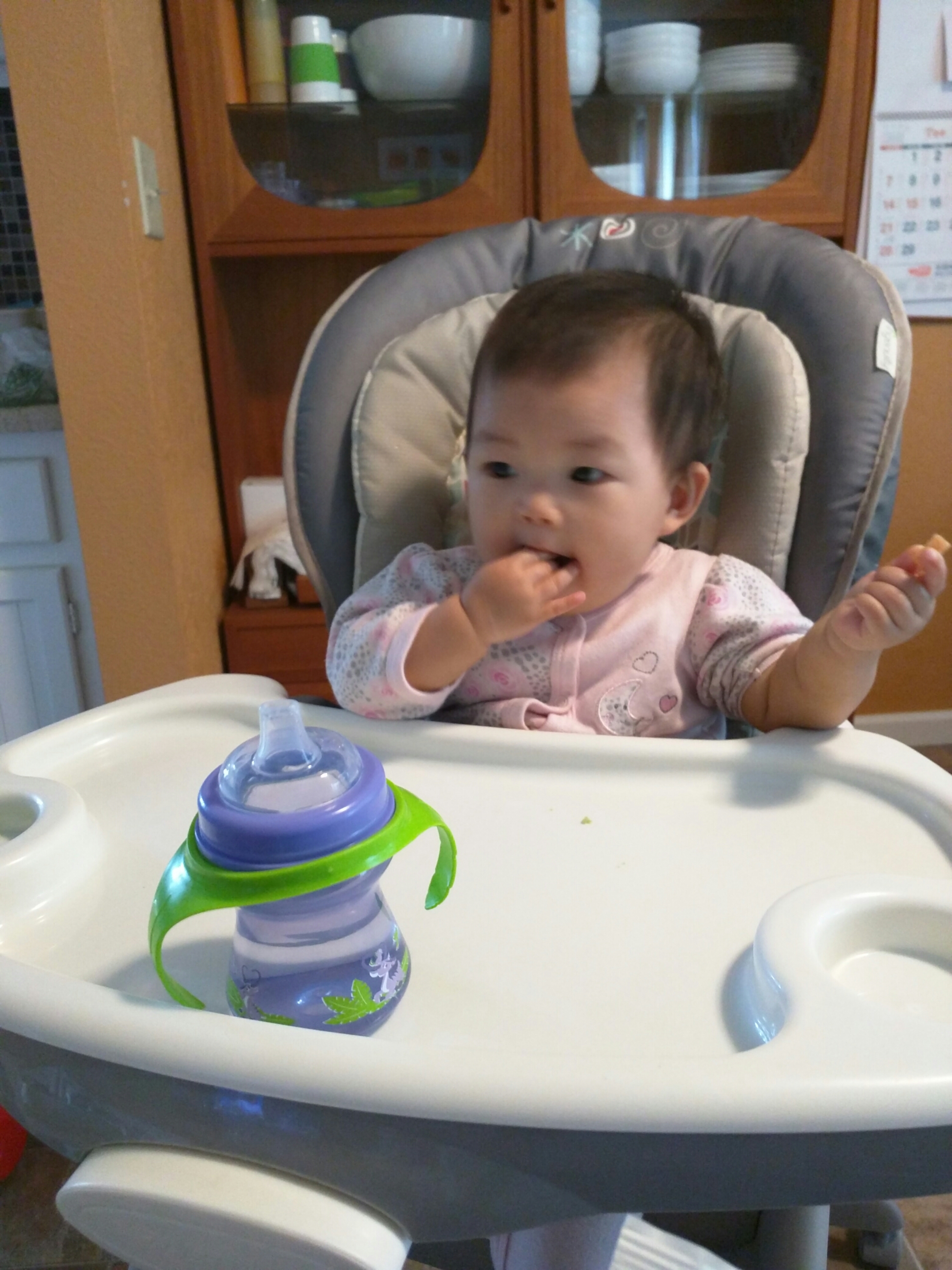 wp-1463284305745 image