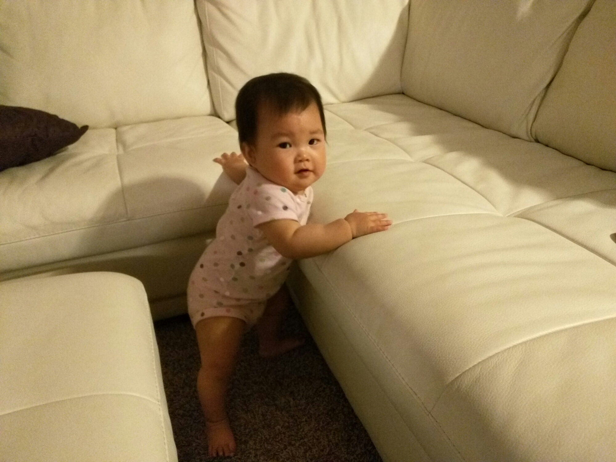 wp-1463284327014 image