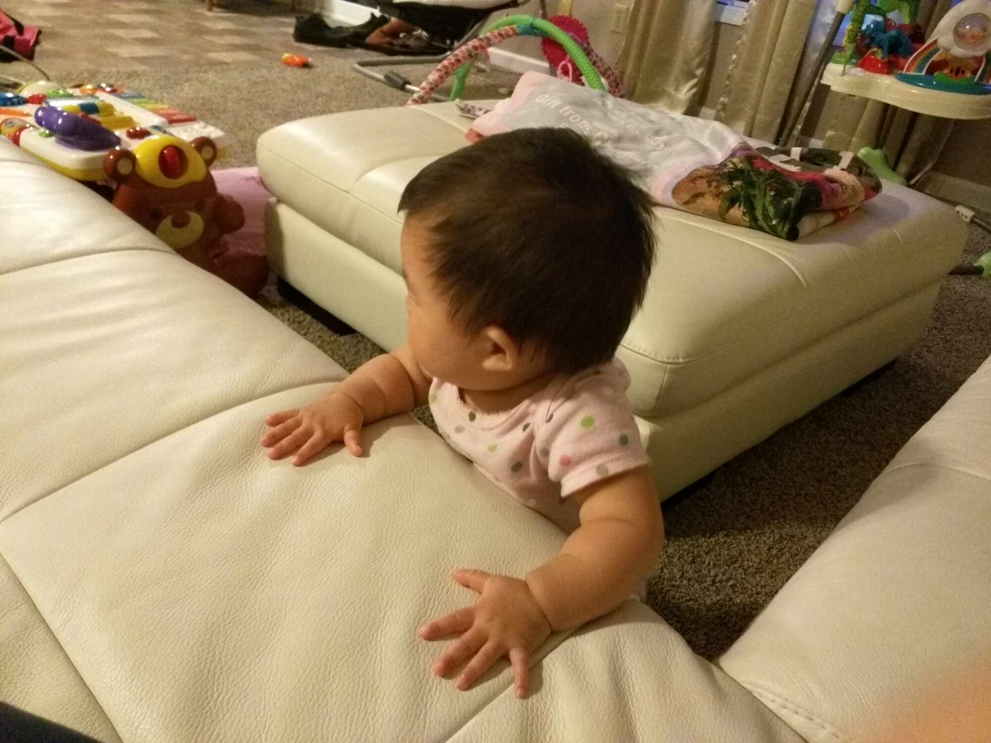 wp-1463284347409 image