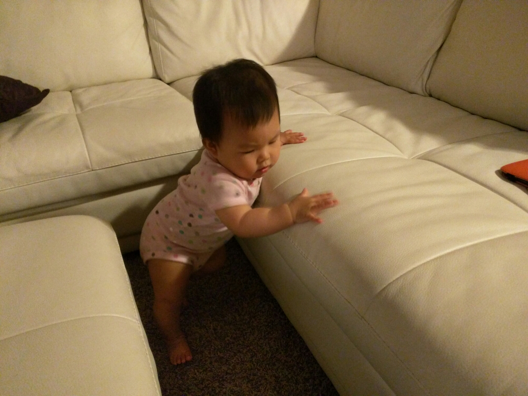 wp-1463284366987 image