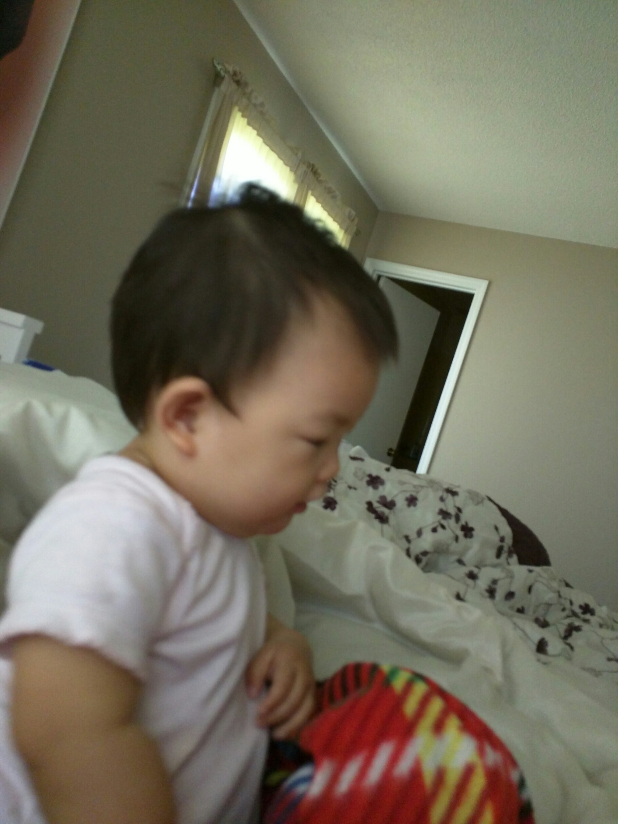 wp-1463729073937 image