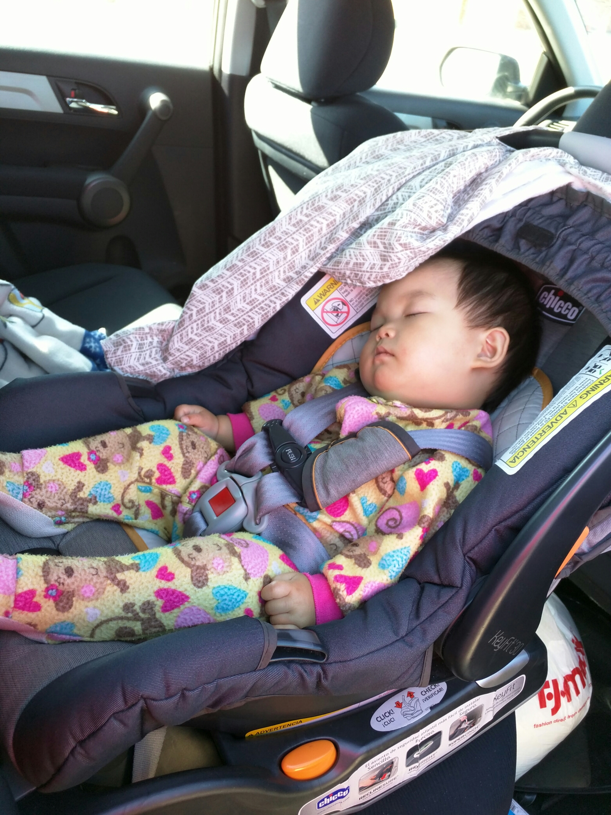 wp-1463729177085 image