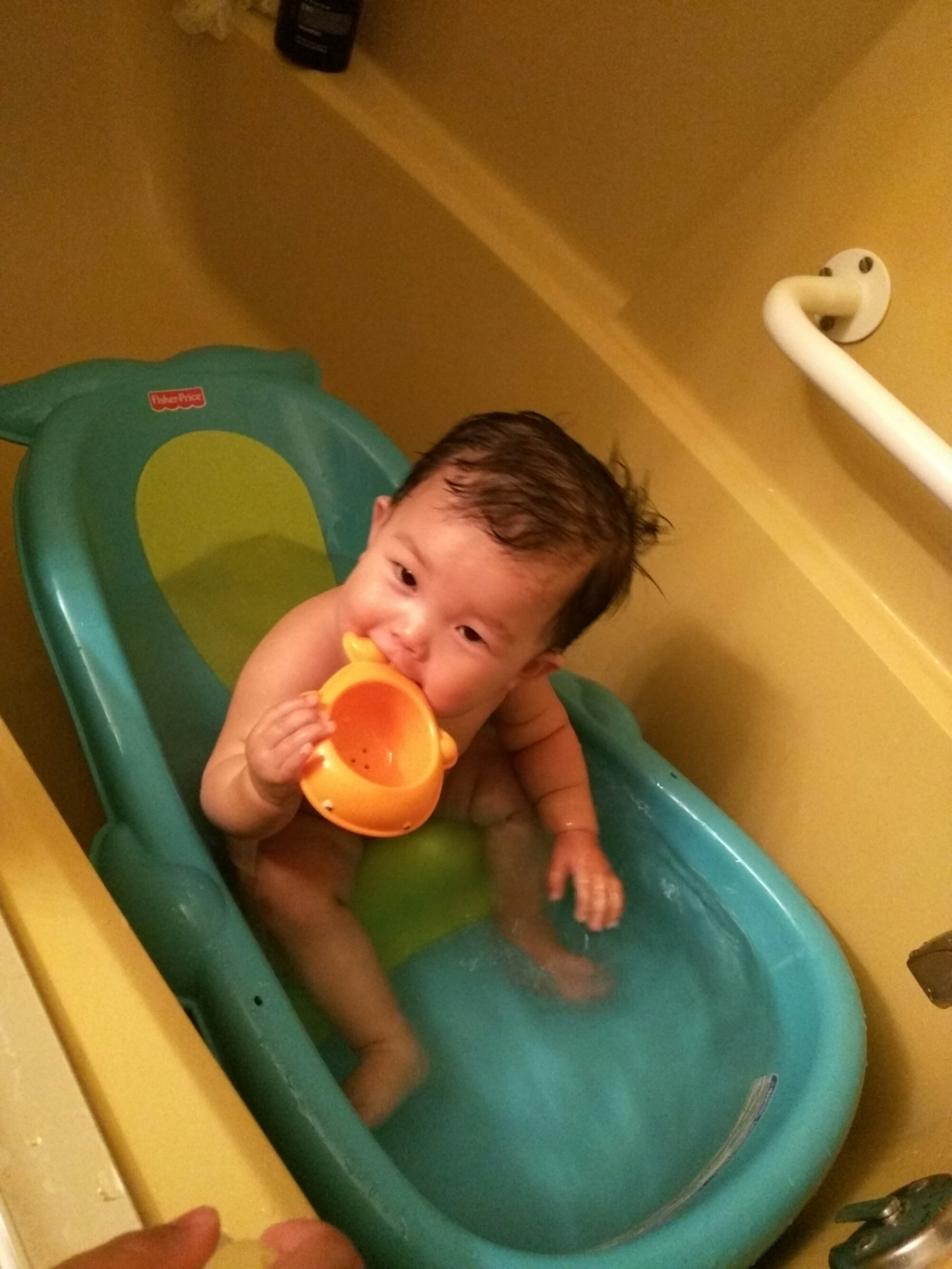 wp-1463729258533 image