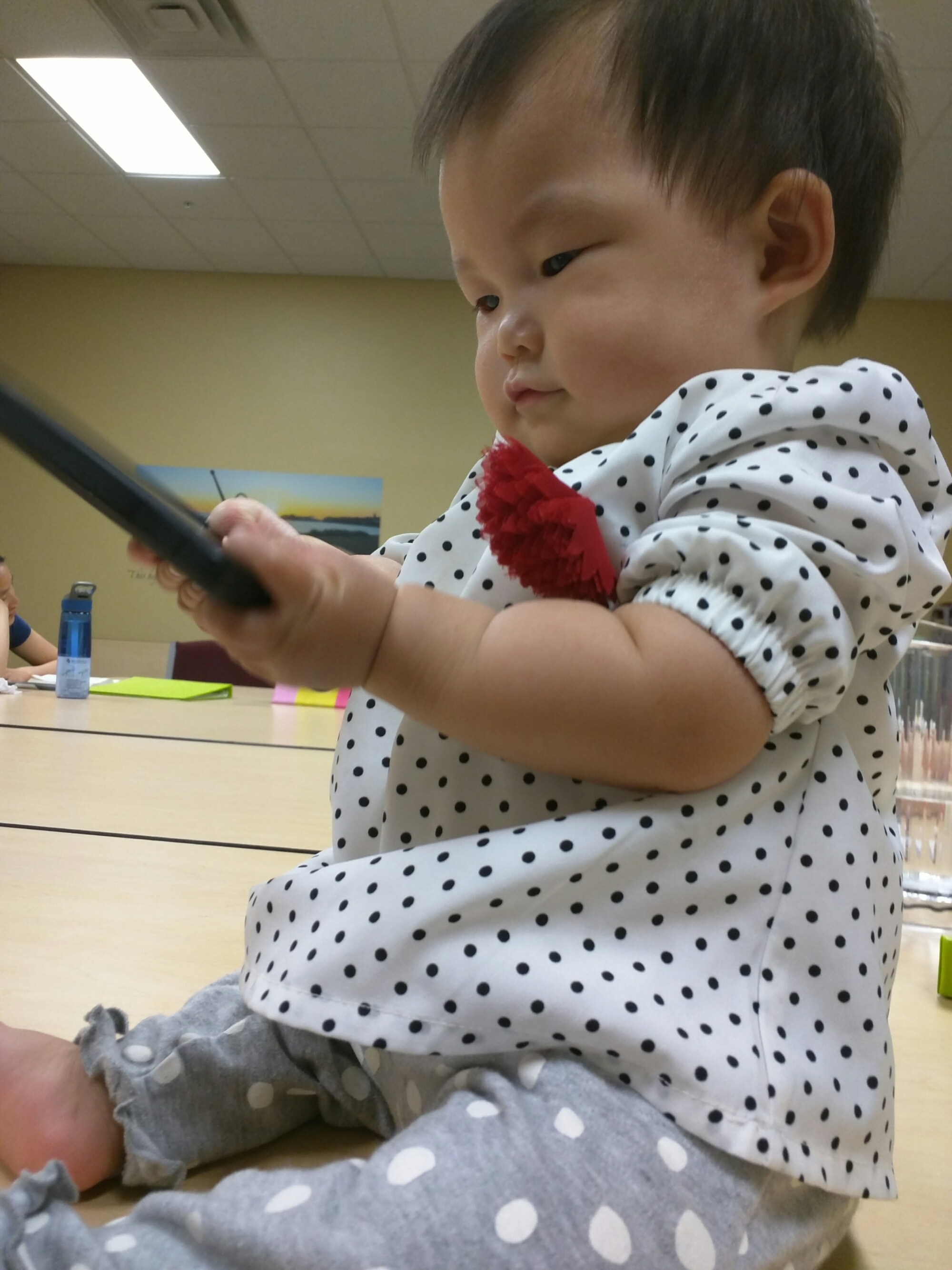 wp-1463729417608 image