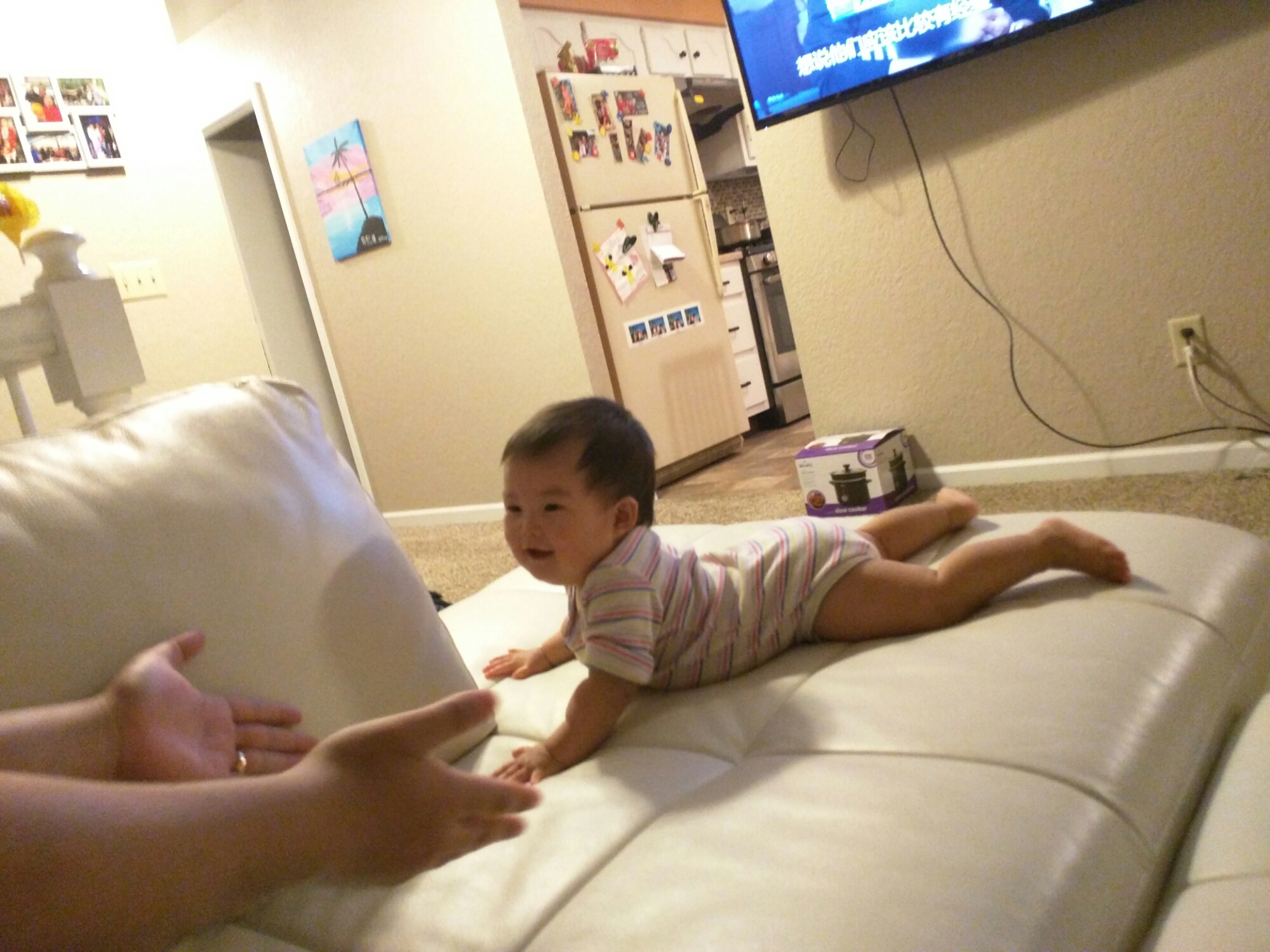 wp-1464253065339 image