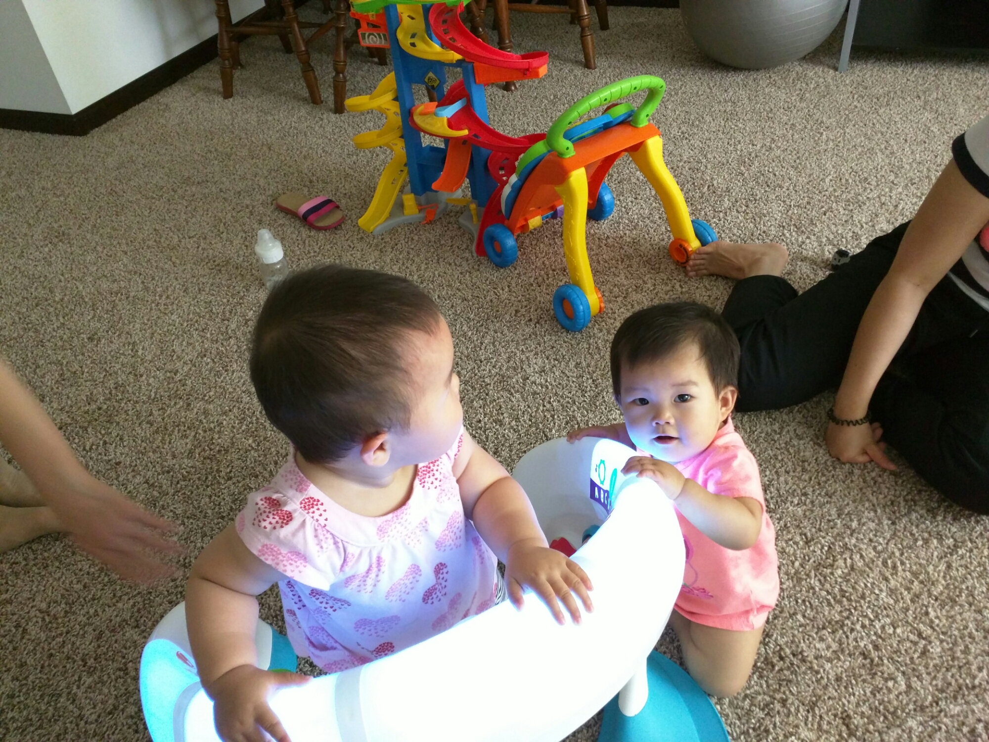 wp-1466218135683 image