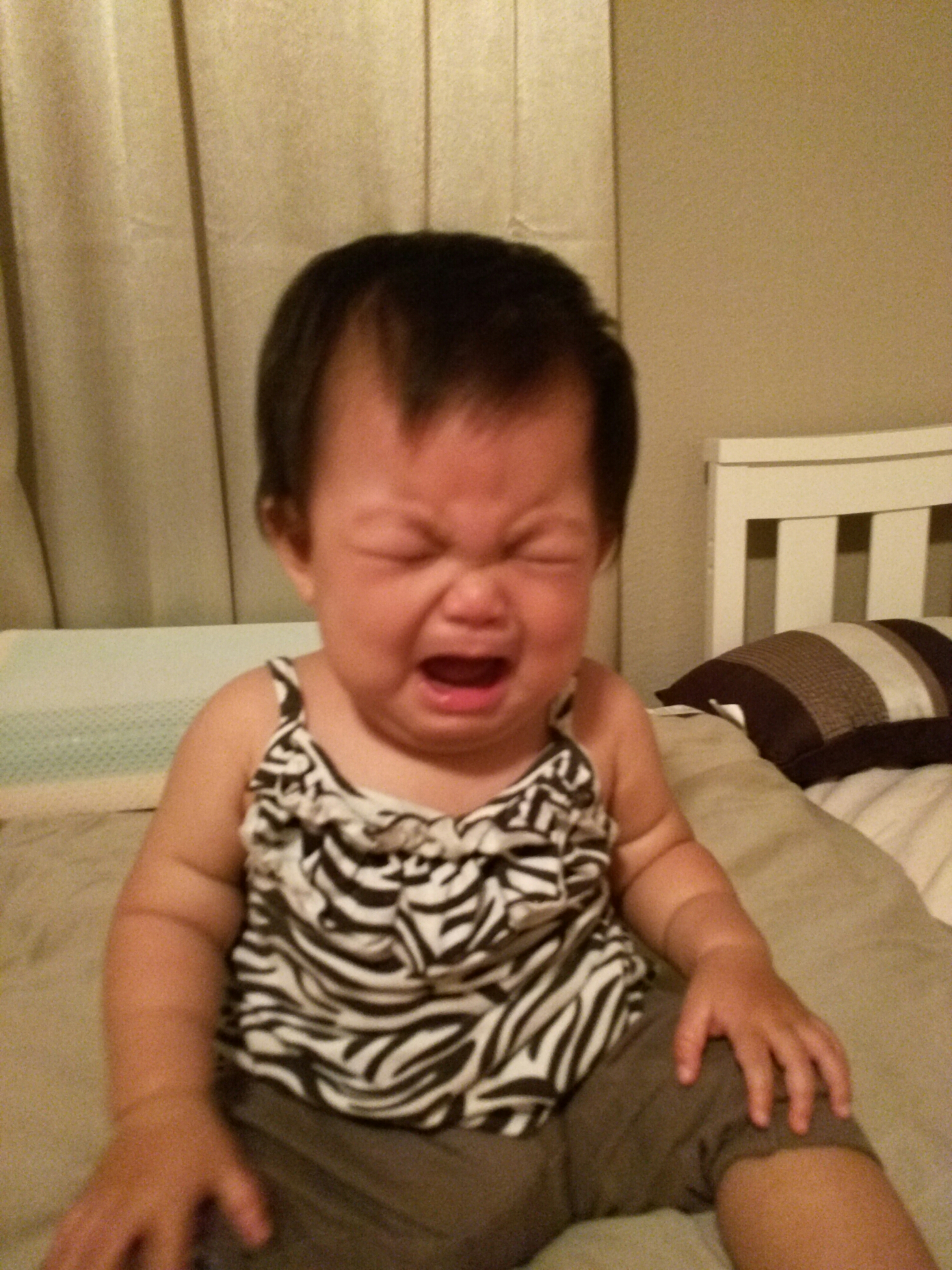 wp-1466561763730 image