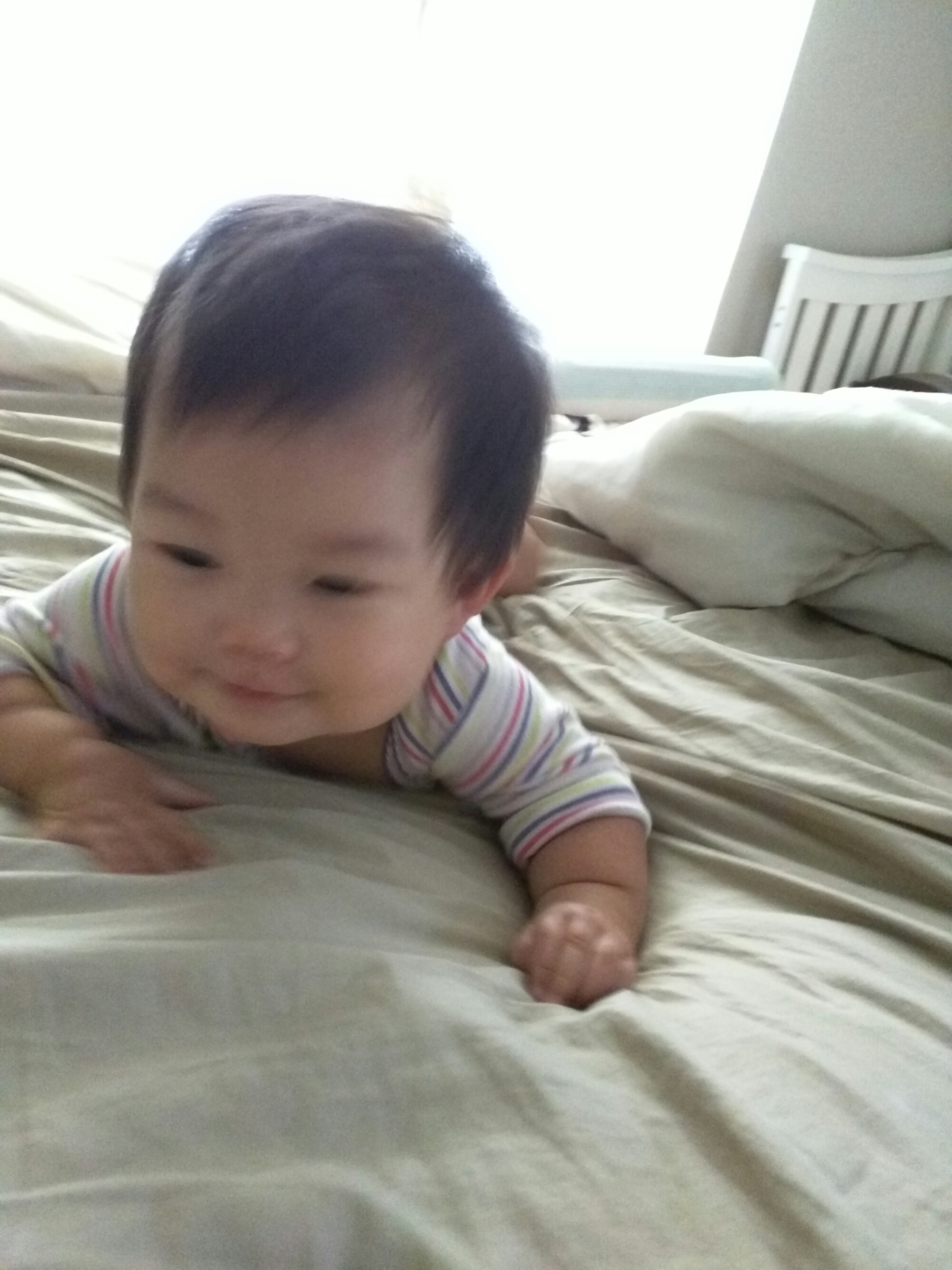 wp-1466562044284 image