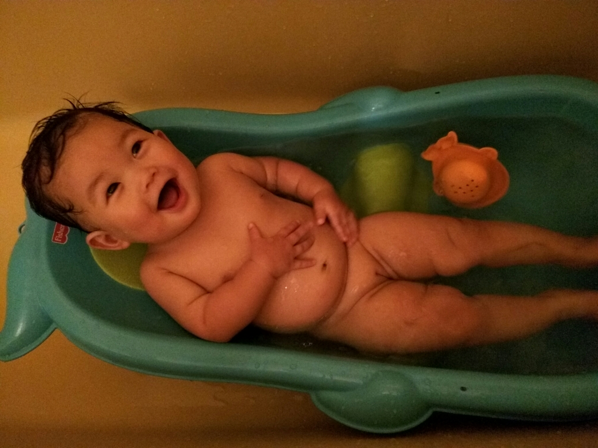 wp-1466562106602 image